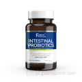 Suplemento de probióticos prebióticos de apoio avançado de apoio intestinal